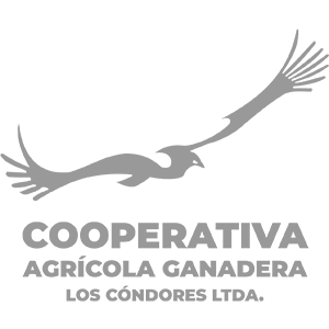 Cooperativa Agrícola Ganadera Los cóndores Ltda.